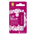 Produktbild: Primavera Life GmbH Lippenpflegestift Care & Glow - Lip Balm 4,7g