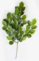 Produktbild: artplants.de Deko Zweig Buche Erick, schwer brennbar, 75cm - Künstlicher Buchenzweig - Grüne Kunstblätter