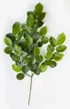 Produktbild: Kunstzweig Deko Zweig Buche Erick, schwer brennbar, 75cm Buche, artplants, Höhe 75.0 cm