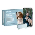 Produktbild: Tractive GPS Tracker Hund | 2025 Edition | Live-Ortung | Weglaufalarm | Aktivitätstracking | Gesundheitswarnungen | Bellverhalten | Empfohlen von Martin Rütter (Mint)