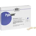 Produktbild: Pylosan 30 St