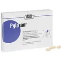 Produktbild: PYLOSAN Kapseln 30 St