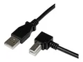 Produktbild: StarTech.com 1m USB 2.0 A auf B Kabel rechts gewinkelt - St/St - USB Druckerkabel - USB-Kabel - USB Typ B (M)
