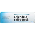 Produktbild: Calendula Salbe-Heel S 50 g