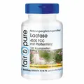 Produktbild: Lactase-Enzym - 120 Kautabletten mit Pfefferminz - 4500 FCC | fair & pure