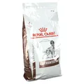 Produktbild: ROYAL CANIN Veterinary Gastrointestinal