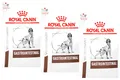 Produktbild: 3 x 2 kg Royal Canin Gastrointestinal (€ 10,28/kg) für Hunde - Veterinary