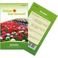 Produktbild: Deine Gartenwelt Hängegeranien Mischung Samen