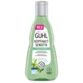 Produktbild: 250ml Guhl Kopfhaut Sensitiv Shampoo trockene Haut Lindenblüten und Wasserminze