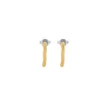 Produktbild: Skagen Women's Stainless Steel Push Back Earrings Mais Gold,1.54Lx1.5Wxcm