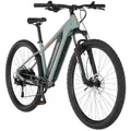 Produktbild: FISCHER E-Bike MTB MONTIS 2.2 ACTIVE, Rahmenhöhe 49 cm, Akku 688 Wh, Hinterradmotor, Kettenschaltung - Grün