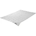 Produktbild: Badenia Daunendecke Trendline Comfort leicht 155 x 220 cm weiß - Weiß