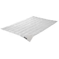 Produktbild: Badenia Daunendecke Trendline Comfort Leicht Größe 155x220 cm Sommerdecke