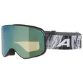 Produktbild: Alpina - Slope Q-Lite S2 - Skibrille bunt
