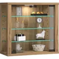 Produktbild: Ebuy24 - Wandvitrine Glasvitrine Vitrosa S
