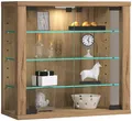 Produktbild: VCM Hängevitrine Wandvitrine Hängevitrine Glasvitrine Vitrosa S