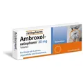 Produktbild: Ambroxol ratiopharm 30mg Hustenlöser