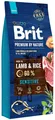 Produktbild: 8595602526642 Brit Premium By Nature Sensitive Lamb & Rice - Trockenfutter f