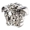 Produktbild: Versace Rosenthal - Spardose - Medusa - Break The Bank - Porzellan - Silber - Maße (BxHxT): 18 x 14,5 x 12 cm