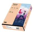 Produktbild: inapa farbiges Druckerpapier, buntes Papier tecno Colors: 120 g/m², A4, 250 Blatt, lachs