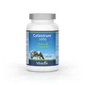 Produktbild: Vitactiv Colostrum 1000 mg