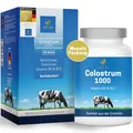 Produktbild: VITACTIV Colostrum 1000 mg, Colostrum Kapseln hochdosiert plus Vitamin B6 & B12 zur Unterstützung des Immunsystems, Nervensystems und Energiestoffwechsels, aus Kuh-Erstmilch (60 Kapseln, Monatspack)