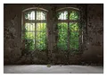 Produktbild: WallArena - Vlies Fototapete Fenster Pflanzen Blätter Vintage Betonoptik 208x146 cm - Fototapeten - Tapeten - für Wohnzimmer Schlafzimmer - Vliestapete Wandtapete Tapete 3D Effekt- inkl. Kleister