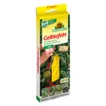 Produktbild: Neudorff Gelbtafeln - Kleinformatig