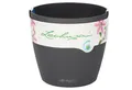 Produktbild: Lechuza® Blumentopf Classico Color 21 - schiefergrau Komplettset