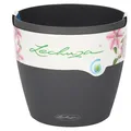 Produktbild: Lechuza Classico Color 21 schiefergrau Komplettset Pflanzgefäß Blumentopf