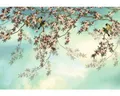 Produktbild: Fototapete Papier 8-213 Sakura 8-tlg. 368 x 254 cm