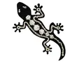 Produktbild: kA Applikationen - Tiermotive - aufbügelbar Echse schwarz/Silber 1 St