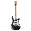 Produktbild: PRS SE NF3 Maple Gun Metal Grey - PRS E-Gitarre