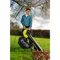 Produktbild: Ryobi Elektro-Laubhäckselsauger RBV 3000 CESV