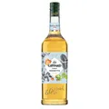 Produktbild: Giffard Haselnuss Sirup 1,0L