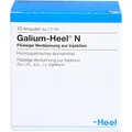 Produktbild: GALIUM HEEL N Ampullen 10 St