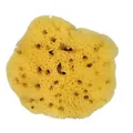 Produktbild: Croll & Denecke Naturschwamm, Natur, ca. 8 cm