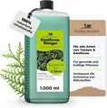 Produktbild: Thuja Dünger 1L Flora Boost | 200L Ergiebigkeit | Koniferen & Tannen