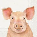 Produktbild: 20 Servietten Farm Pig Einzelnes Schwein Tiere Bauernhof Sau Ferkel Deko 33x33cm