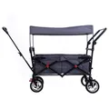 Produktbild: FUXTEC Bollerwagen CT-700 GRAU Kinderwagen Strandwagen Gerätewagen Handwagen
