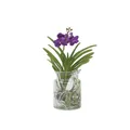 Produktbild: Plant in a Box - Vanda 'Bose' in Vase - Orchidee - Blau - Höhe 45cm
