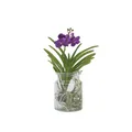 Produktbild: Plant in a Box  Vanda-Orchidee Vanda 'Blue' 45cm Blühende Zimmerpflanze