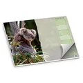 Produktbild: itenga Schreibtischunterlage Papier Motiv Koala Schreibunterlage für Kinder Mädchen Jungen I 50 Blatt DIN A3