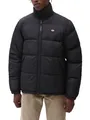 Produktbild: Dickies Herren Waldenburg Steppjacke schwarz M