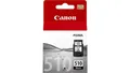 Produktbild: 4960999617015 Tusz Canon 2970B001 (oryginał PG510 PG-510 9 ml czarny) CANON