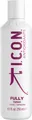 Produktbild: ICON I.C.O.N. Fully Antioxidant Shampoo 250 ml 110103