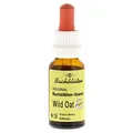 Produktbild: Murnauers Original Bachblüten Tropfen Nr.36 Wild Oat