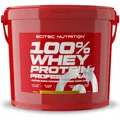 Produktbild: 100% Whey Protein Professional - 5000g - Zitrone-Käsekuchen
