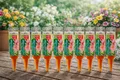 Produktbild: Bayer Beautykur für Pflanzen 10 x 20 ml