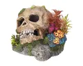 Produktbild: Nobby Aquariendeko Aquariendekoration Totenkopf mit Pflanzen 13,5 x 13,5 x 10,5 cm